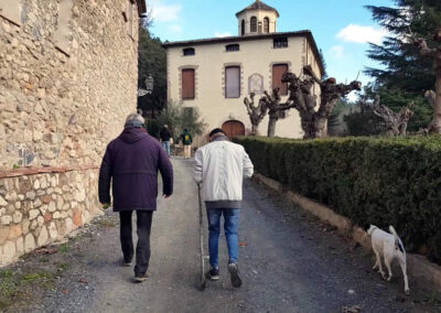 Caminatas por el bosque