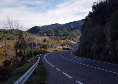 Caminatas por el bosque